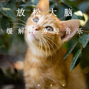 色色色色色色免费视频
